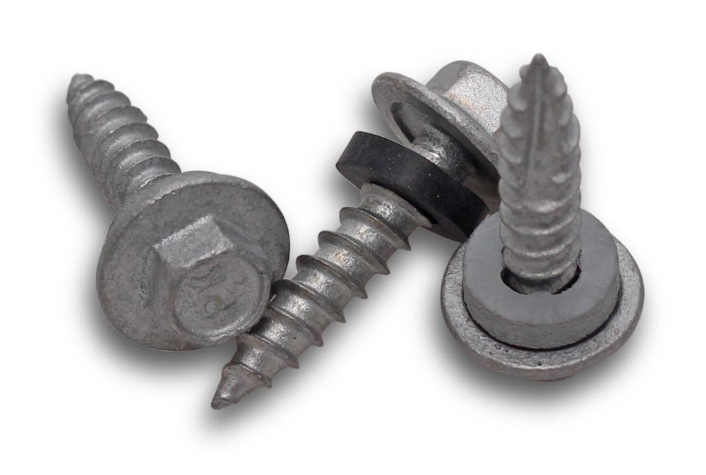 T1265-ESC.jpg